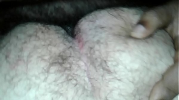 Casal urso
