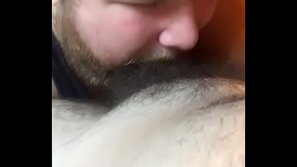 Urso loiro barbudo mamando o pau do seu macho pentelhudo