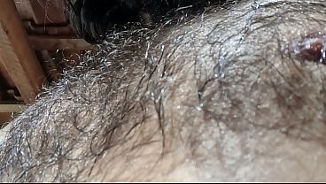 Close no corpo do peludo suado depois do treino, Barba e pelos