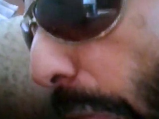 Rio de Janeiro Bull Sucking the Machos Off